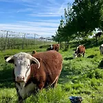 Biohof Stotz Daire