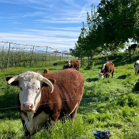 Biohof Stotz Appartement *