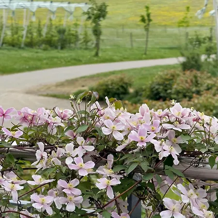 Biohof Stotz Appartement Friedrichshafen