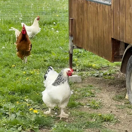 Biohof Stotz Appartement